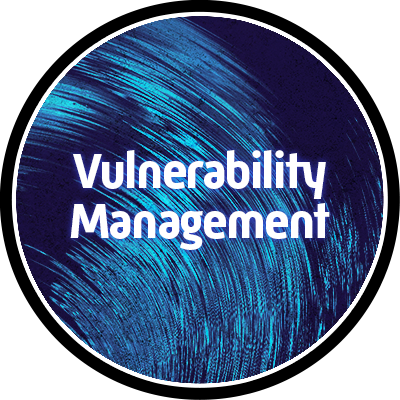 Vulnerability Management badge